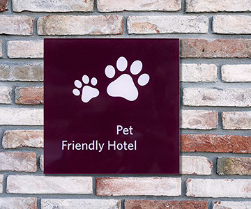 Dog-friendly accommodations